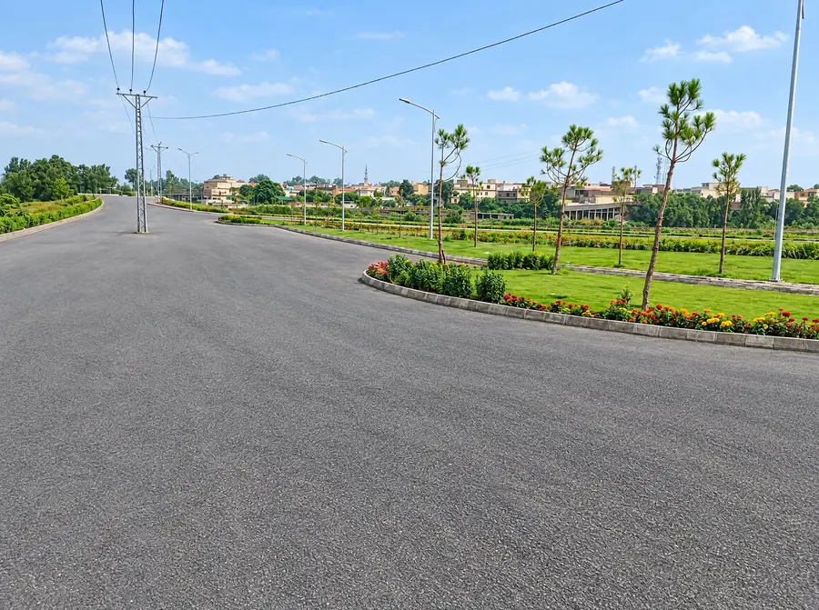 Wide road with a planted island and pines